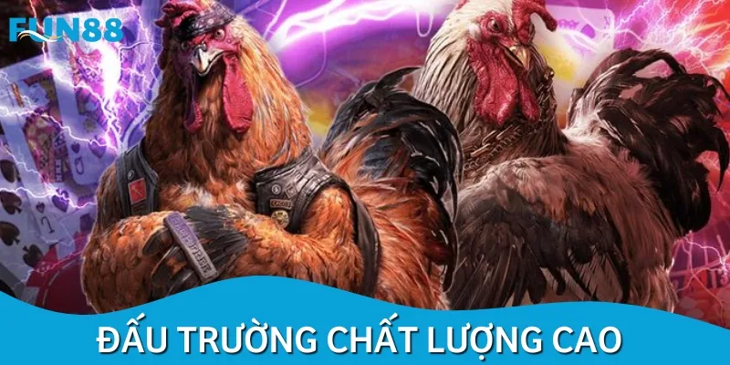 Sàn đấu đạt tiêu chuẩn chất lượng cao, hình ảnh trực tiếp đẹp mắt