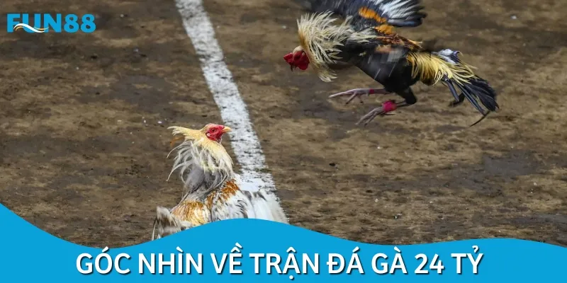 Trận đá gà 24 tỷ đã tạo nên kỷ lục trong làng giải trí cá cược